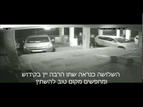 משתינות - בשקט בשקט, בלי שאף אחד ירגיש באים זרים נכנסים מתחת הבית ומסריחים לנו את החיים, כאילו לא די לנו מהריח שיוצא מהדירה בה צבי בן ארץ מתגורר....