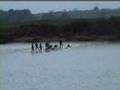Severn Bore surfing Oct 07