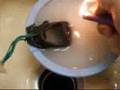 Exploding Water