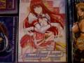 My Anime DVD Collection: Ranma Haruhi Lucky Star Evangelion Robotech FLCL