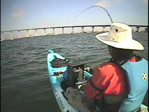 San Diego Bay Kayak Fly Fishing by johnnyceviche