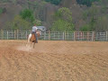 Loping Circles