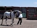 EL TENOCH