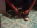 elfo caminando