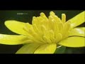 fusion and solar power  green energy 