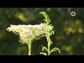 Marzahn auf den Zahn gefühlt - XEN.ON TV