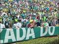 Torcedor do Palmeiras, aparentemente bêbado, cai da arquiban