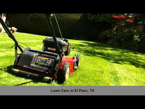 how to grow grass in el paso tx