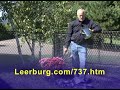 Great Heavy Duty Stainless Steel Dog Bowls from Leerburg Great Heavy Duty Stainless Steel Dog Bowls from Leerburg