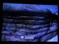Oblivion- Glitches of Tamriel