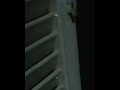 matra f ma3adi 4 sob7 lelt el wa2faمطرة ليلة الوقفة ف المعادي
