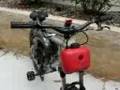 My Italian 50cc Motorized Bicycle