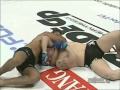 tribute - Antonio Rodrigo ''Minotauro'' Nogueira