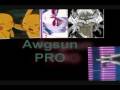videos de Awgsun New Opening