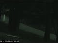 Strange Alien Stick-like creatures caught on security camera above Fresno in Yosemite National Park