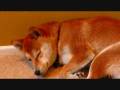 nO slEEpinG iN ThiS hoUse 12-16-8