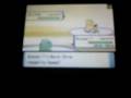 videos de pokemon wifi battle num 3  v darvir