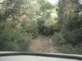 MOV00474.MPG