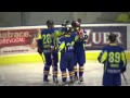 HC ZUBR Přerov - HC Bobři Valašské Meziříčí  11:2