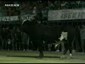 PUERTO SAGUNTO TORO \"RATON\"