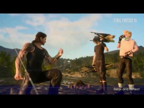 動画