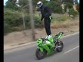 stunt