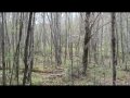 a few hrs in the bush plus finger update and bracelet update introducing FLF