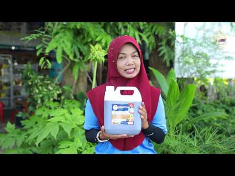 เสน่ห์ชาวเล บ้านยายม่อม จากทะเลสู่สวน บำรุงดินด้วยหัวใจชุมชน โดย วิทยาลัยชุมชนตราด