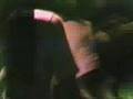 Vid�o Young Til I Die de 7 Seconds