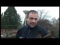 les 2 id42 helicon dierweide