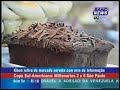 Doen�a Cel�aca Recall Kibon na Band News
