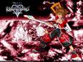videos de Kingdom Hearts - The True Kingdom Of Hearts