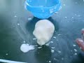 fecola di patate + acqua alle giuste proporzioni