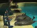Dolfinarium Harderwijk Dolfinarium Harderwijk