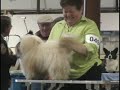 Lindsay Dog Show Day 1 Part 3 Abigail\ Lindsay Dog Show Day 1 Part 3 Abigail\