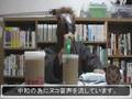 ハイポーションをマックシェイクで飲んでみた。