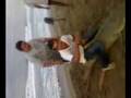 videos de pesca de tiburon 2