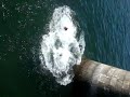 le port au sables d\
