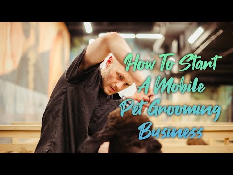 How To Start A Mobile Pet Grooming Business