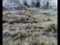 videos de Trail (Mandra Region)
