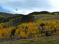 Helicopter logging in Vail pt. 3