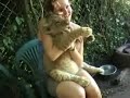 Lion cub bottlefeeding Lion cub bottlefeeding