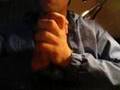 The most partiotic video on youtube