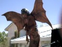 ANIMATED EVIL FAIRY GODESS