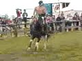 pony express2