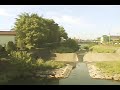 bridges of Yakushi