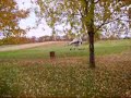 LeafBlower LeafBlower
