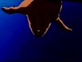 Fuel - Metalica - Macross Plus