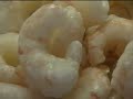 Gabibbo & Consumatoriliguria