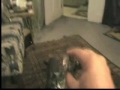 Fitzy the Fabulous Fetching Feline